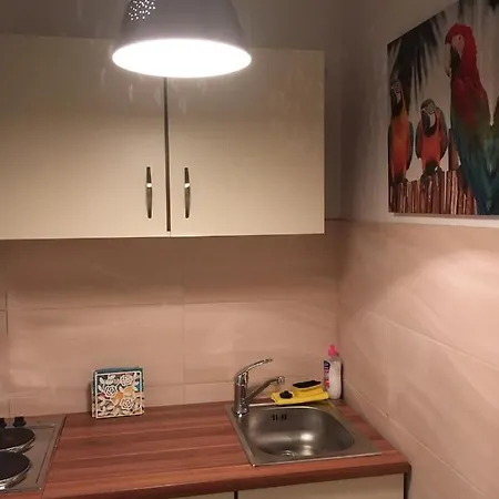 Stadtmitte Appartement